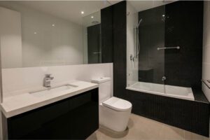 frameless glass shower screen