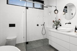 Frameless Shower Doors